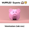 wupples experts veterinarians