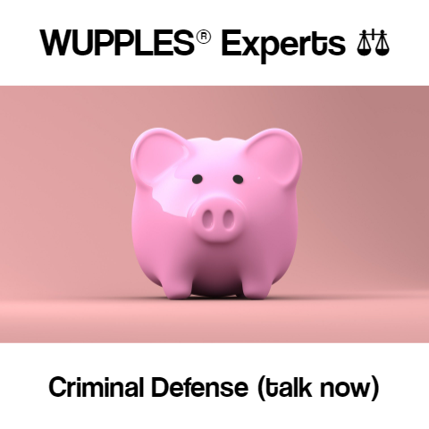 wupples experts criminal defense lawyers