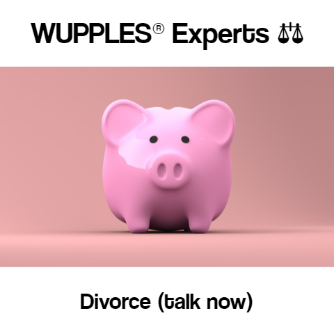 wupples experts divorce lawyers