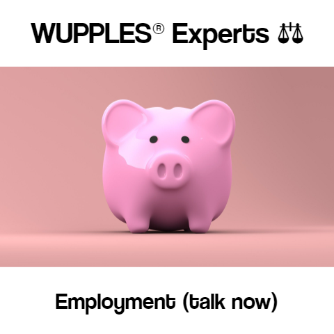 wupples experts employment lawyers