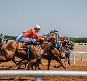 Jocks Jewels - Horse Racing Tips